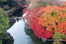 단풍 물든 내장산 국립공원