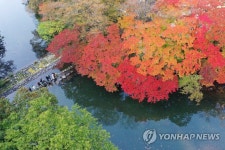 단풍 물든 내장산 국립공원