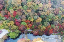 단풍 물든 내장산 국립공원