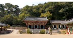 맨발로 숲 기운을 만끽한다…창원 성주사 황톳길 개장