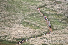 쉼, 그리go 제주 새별힐링축제 13∼14일 열려