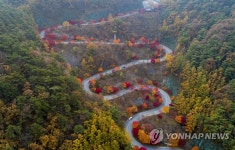 가을빛으로 물든 보발재