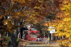 도심 공원에 물든 단풍