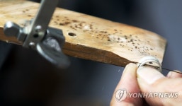 연마