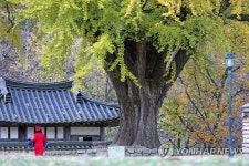 운곡서원 둘러보는 관광객
