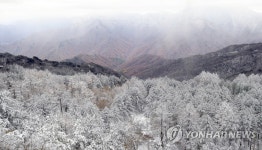 [픽! 남원] 한 폭의 수채화…눈 쌓인 지리산 정령치