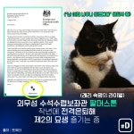 [포켓이슈] 공무원 감투 쓴 길냥이…그들의 묘생역전