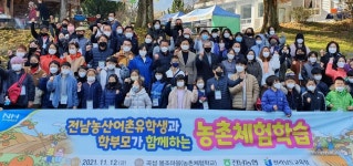 전남농산어촌 유학생들, 곡성서 대봉감 수확 등 농촌체험
