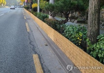 서울시, 공원·녹지 겨울나기 준비