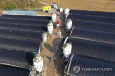 고병원성 AI 의심사례 발생한 나주 오리농장