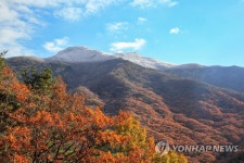 가는 가을이 아쉬워…전국 곳곳 막바지 단풍 행락객 북적