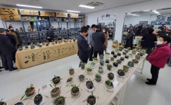 대학가 MT명소 부활할까?…춘천 강촌 살리기 첫 단추