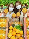 롯데마트 충주에서 온 탄금향 맛보세요