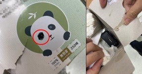 여교사 화장실에 몰카 설치한 초등학교 교장 구속기소