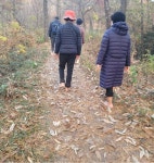 맨발로 즐기는 산행…목포시 양을산에 맨발걷기 청춘길 조성