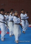 세계태권도연맹 시범단의 축하 공연