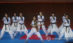 올림픽 정식종목 20주년 기념 세계태권도평화축제 개막