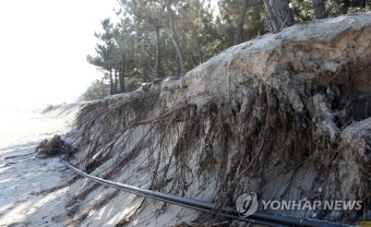 동해안 연안침식 심각 16곳…동해지방해양수산청, 현장 실태점검