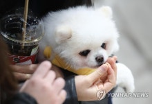 간식 맛있어요