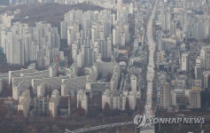 토지거래허가구역 거래절벽