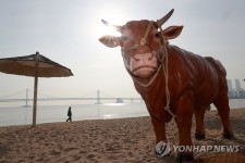 신축년 부산 광안리 황소 조형물, 남구 소막마을로 옮겨 전시