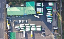 운전원 확진에 멈춰선 시내버스