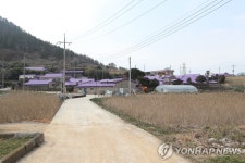 세계 최우수 관광마을 선정된 신안 퍼플섬은 어떤 곳
