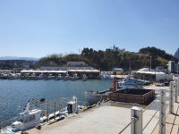 강릉 영진·고성 초도·양양 물치항, 어촌뉴딜 300사업 선정