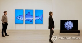 LG전자, 사치갤러리서 올레드 TV 미디어아트 선보여
