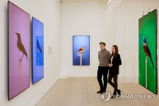 LG전자, 사치갤러리서 올레드 TV 미디어아트 선보여
