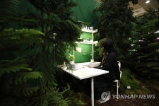 식물과 인테리어의 만남