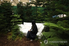 전시회에서 만나는 숲 속 공간