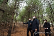 최병암 산림청장, 열식간벌 숲가꾸기 사업지 현장 점검