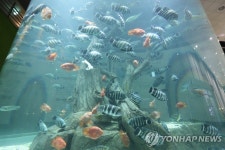 구례 섬진강어류생태관, 토종어류 학습장으로 새단장