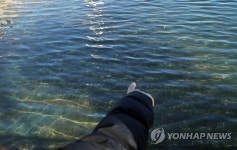 어! 생선이네!