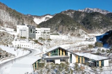 강원랜드 게임 등 행위중독 예방교육 참여 청소년 증가세