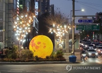 강남구, 연말 맞아 곳곳 빛의 거리 조성