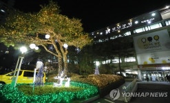 강남구, 연말 맞아 곳곳 빛의 거리 조성