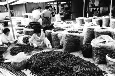 1990년대 구례5일시장 장날 풍경