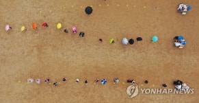 연일 학생 확진 광주 초교 전수검사
