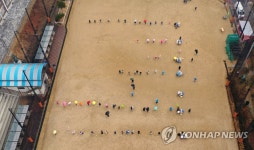 연일 학생 확진 광주 초교 전수검사