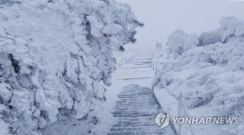 온통 새하얀 눈 세상