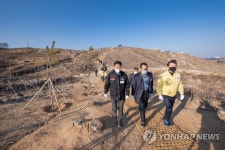 강원 고성에 조성된 경기의 숲