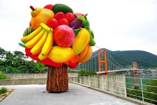 [여기 어때] 남해 보호수 프로젝트 여행