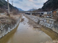 [영동소식] 군, 하천제방 정비 충북 최우수기관 선정