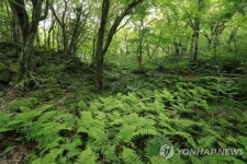제주의 생태 보고 곶자왈·오름 보전 환경재단 설립 필요