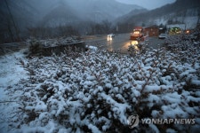 눈 내리는 미시령