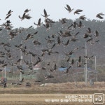 [여행honey] 해넘이 명소 태안
