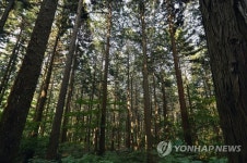 국립장성숲체원, 2022년 추천 웰니스 관광지 재선정