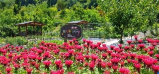 전의면 목인동·조치원읍 꽃밭에서 세종시 첫 민간정원 등록